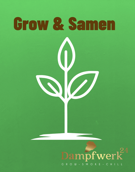 Growbereich bei Dampfwerk24